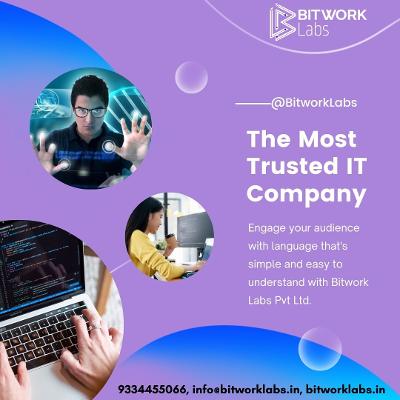 Enhance Your Business at Reasonable Cost with Adavcned Software : Bitwork Labs